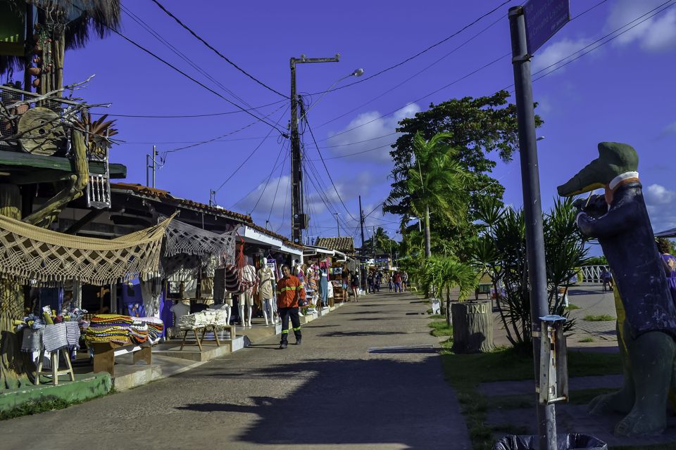 Joao Pessoa Northern Coast Beaches Day Tour - Tips for a Great Day Tour