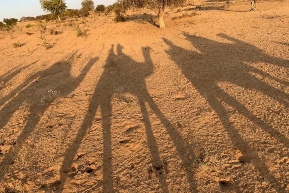Jodhpur: Full-Day City Private Tour & Camel Safari - Monuments of Jodhpur