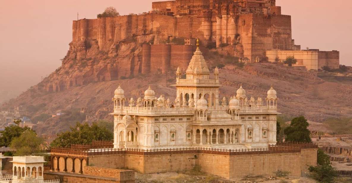 Jodhpur: Guided Full-Day Tour - Key Points