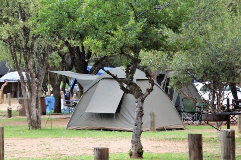 Johanessburg: 3-Day Pilanesberg Camping Adventure - What to Expect on the Safari