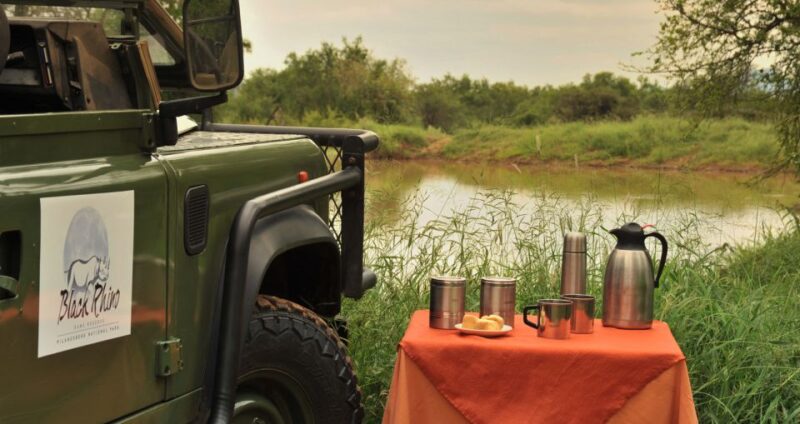 Johannesburg: 2-Day 4-Star Pilanesberg Safari - Inclusions and Accessibility