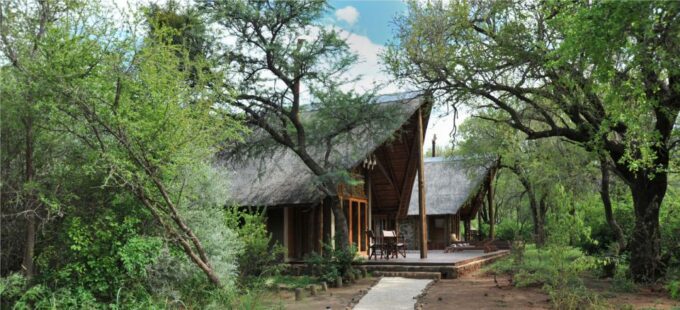 Johannesburg: 2-Day 4-Star Pilanesberg Safari - Wildlife Encounters in Pilanesberg