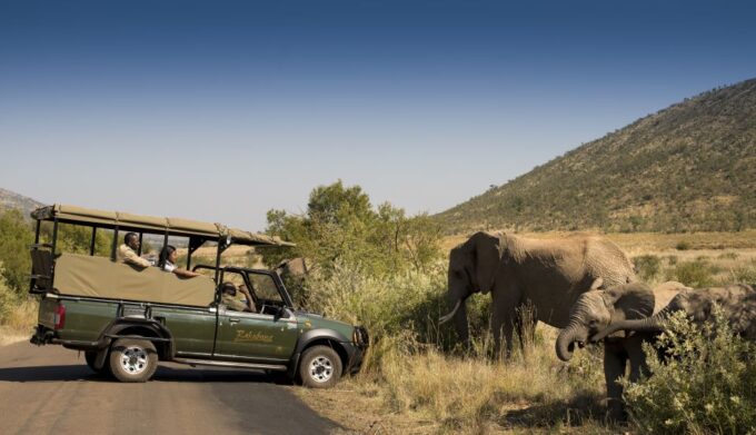Johannesburg: 2-Day 4-Star Pilanesberg Safari - Frequently Asked Questions