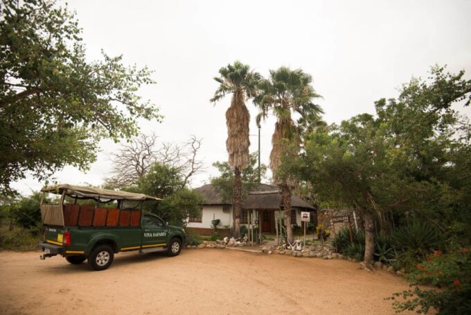 Johannesburg: 5-Day Classic Kruger National Park Safari - Accommodation and Transfers