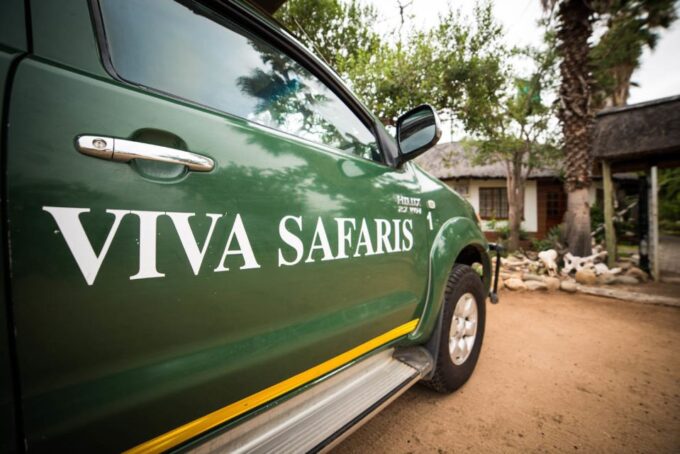 Johannesburg: 5-Day Classic Kruger National Park Safari - Wildlife Viewing Opportunities