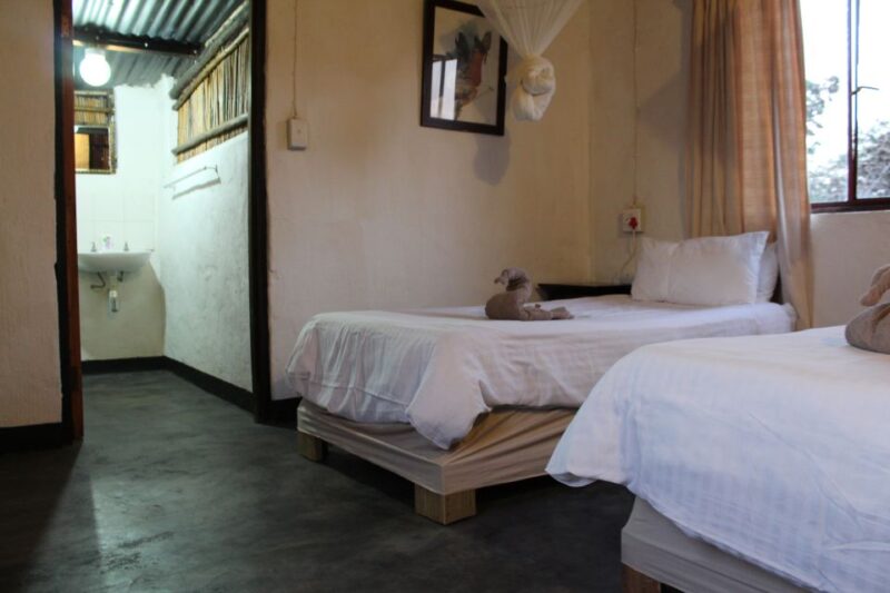 Johannesburg: Affordable 3 Day Kruger Park Safari - Safari Overview and Pricing