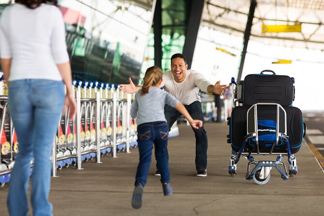 Johannesburg Airport Private Transfers: Departures (Hotel Pickup) - Pickup and Meeting Points
