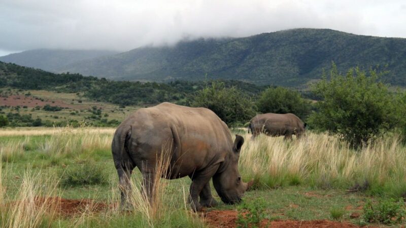 Johannesburg: Customizable Private Day Tour With Guide - Customizing Your Itinerary
