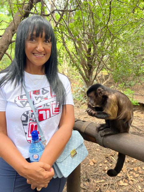 Johannesburg: Elephant and Monkey Sanctuary Half Day Tour - Monkey Sanctuary Interaction