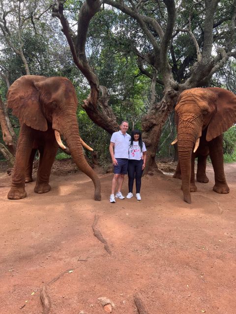 Johannesburg: Elephant and Monkey Sanctuary Half Day Tour - Inclusions and Exclusions