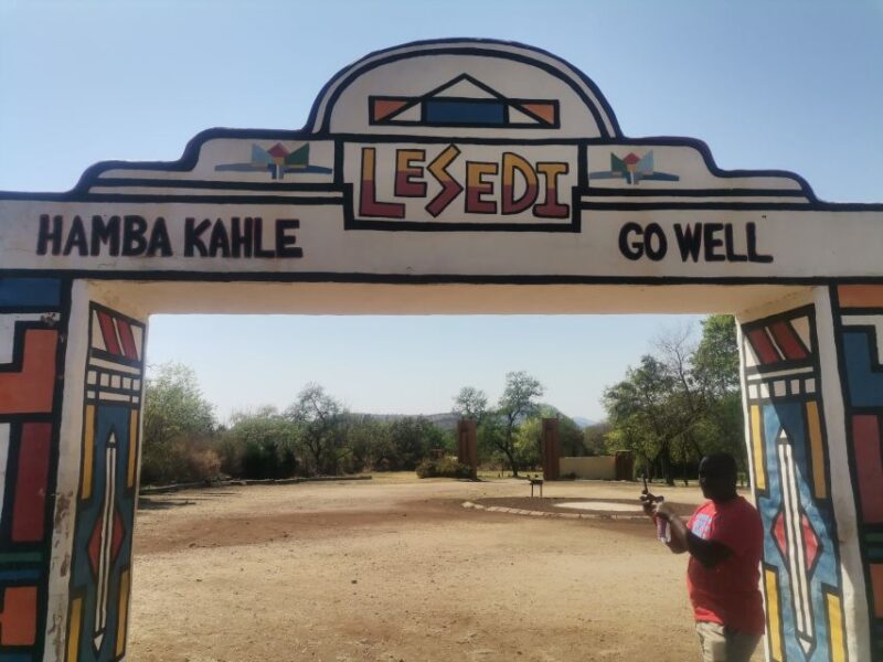Johannesburg: Lion Park Safari and Cultural Village Tour - Itinerary and Experience