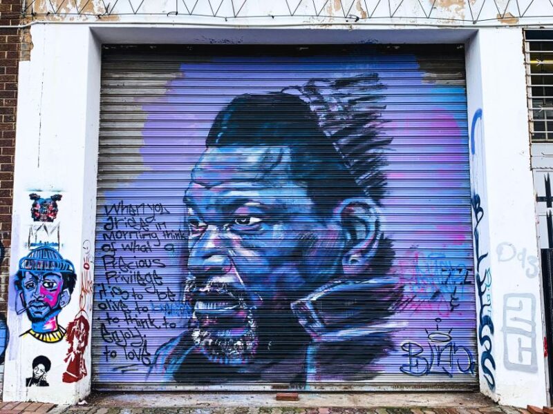 Johannesburg: Maboneng Street Art & Culture Tour - Talented Local Artists