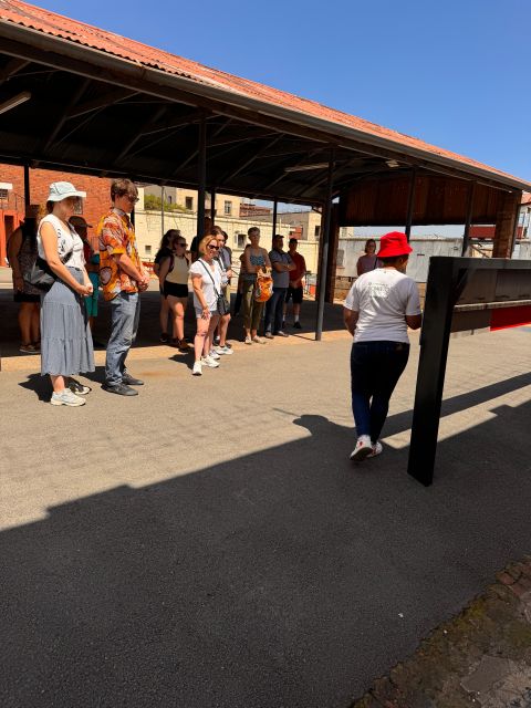 Johannesburg: Private Cultural Full Day Tour - Good To Know