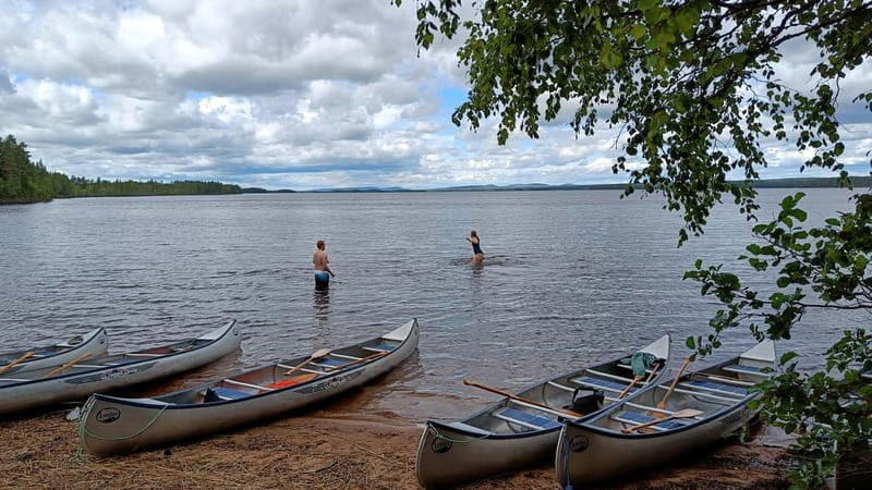 Johannisholm: Guided Canoe Tour on Lake Venjanssjön - Why This Tour Offers Genuine Value