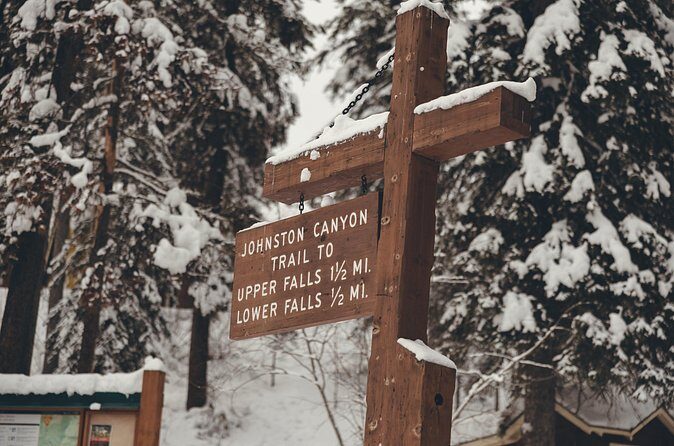 Johnston Canyon: Frozen Falls - Authentic Feedback and Expectations