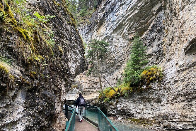 Johnston Canyon, Marble Canyon Hiking and Banff Town day tour - Who Will Love This Tour?