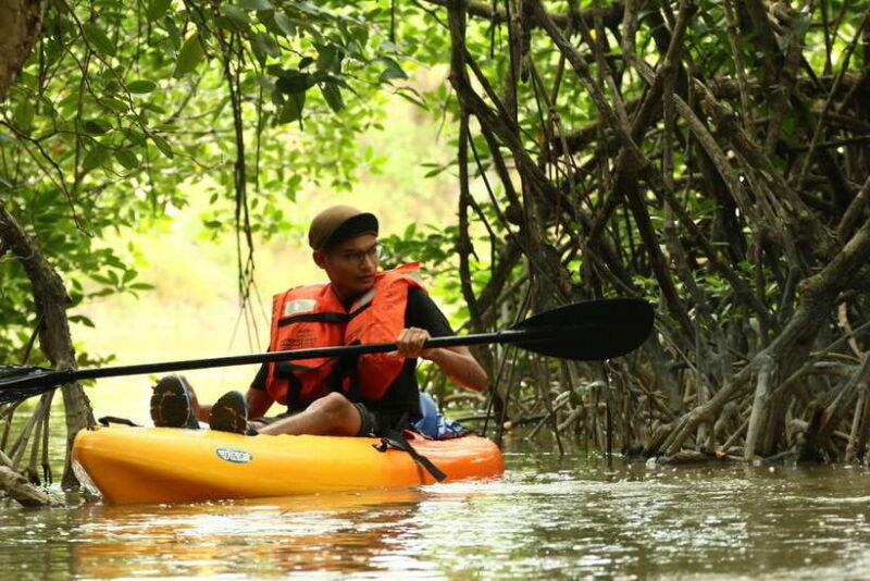 Johor: Sungai Lebam Kayaking with Transfer - The Value Proposition
