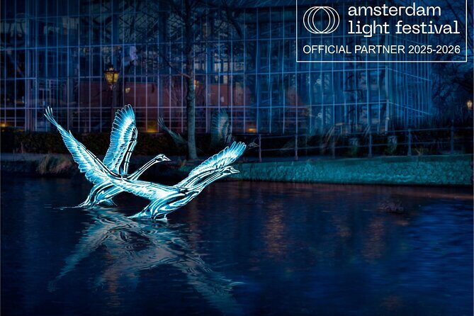 Join Our Magical Amsterdam Light Festival Cruise with Drinks! - A Practical Guide to Amsterdam Light Festival Cruise with Drinks