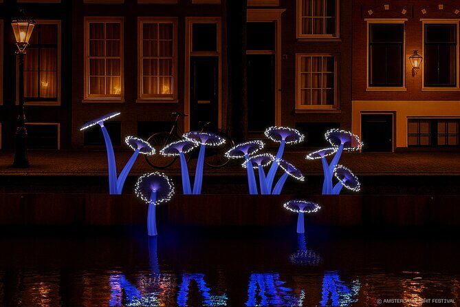 Join Our Magical Amsterdam Light Festival Cruise with Drinks! - What to Expect from the Amsterdam Light Festival Cruise