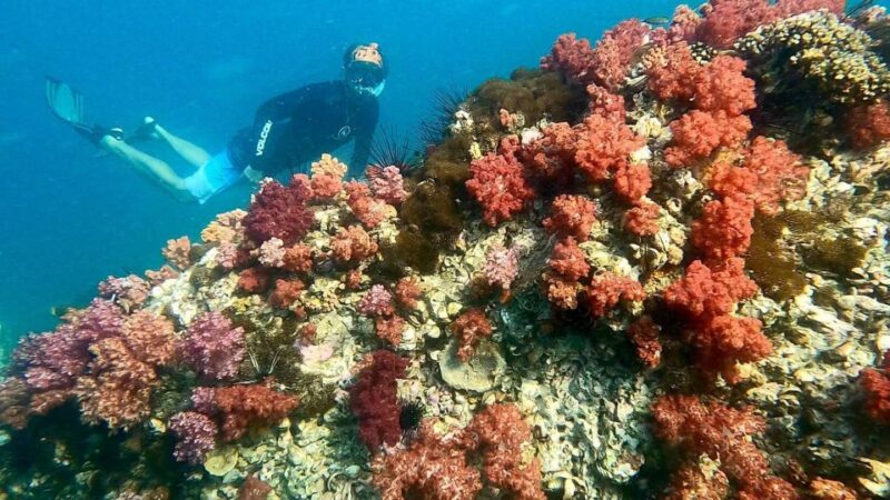Join Snorkeling Trip 7 Spots Lunch Included - Important Information