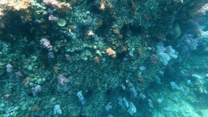 Join Snorkeling Trip 7 Spots Lunch Included - Cancellation Policy