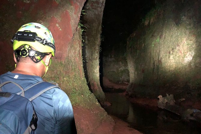 Join the Dark Side of Magical Nature - Exploring the Dark Glen