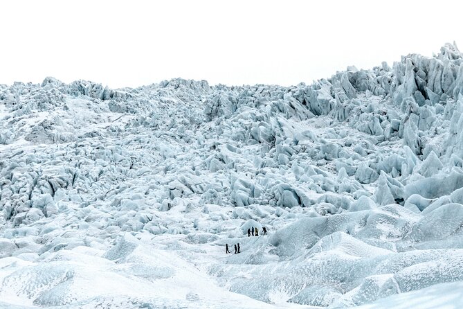 Jökulsárlón Glacier Lagoon 2 Day Tour & Optional Glacier Hike - Tour Reviews