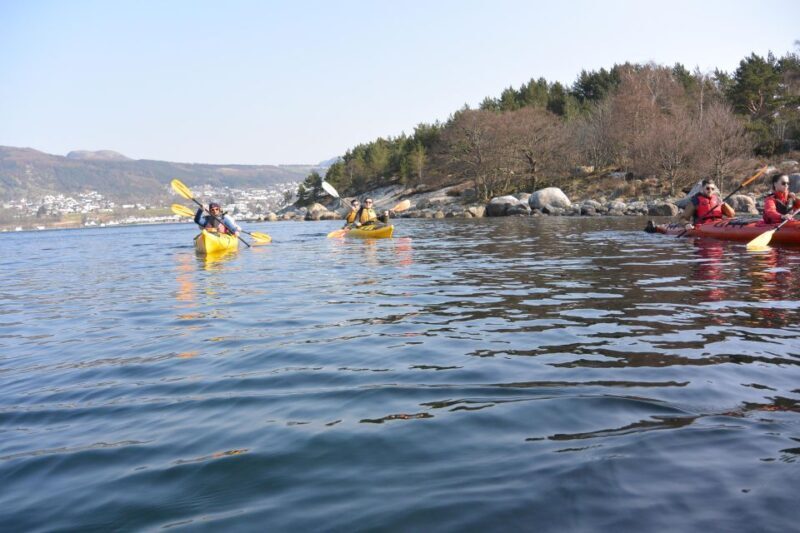 Jørpeland: Guided fjordtour kayak - Overview of the Kayak Tour Experience
