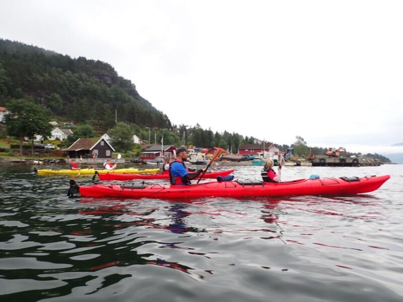 Jørpeland: Guided fjordtour kayak - Who Will Love This Experience
