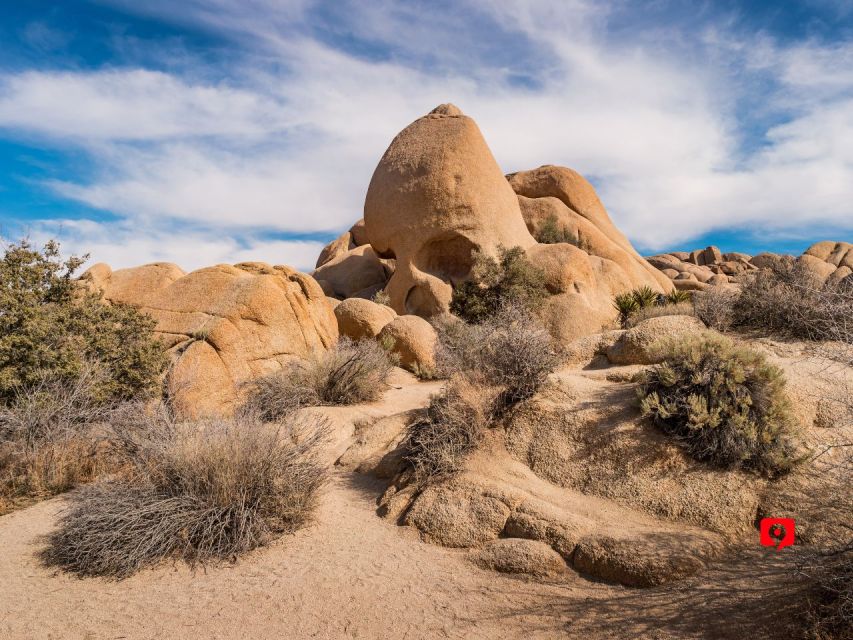 Joshua Tree: Driving Tour - Iconic Landscape Features