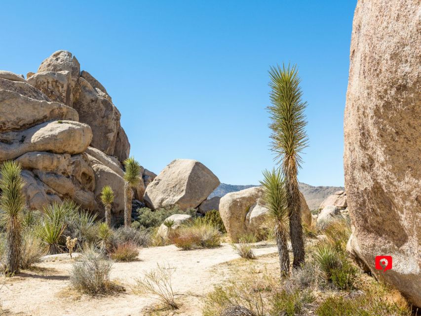 Joshua Tree: Driving Tour - Getting to the Park