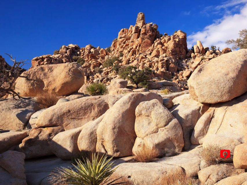 Joshua Tree: Driving Tour - Preparing for the Trip