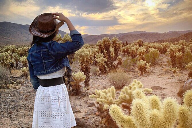 Joshua Tree National Park and Pioneertown Tour - Key Points