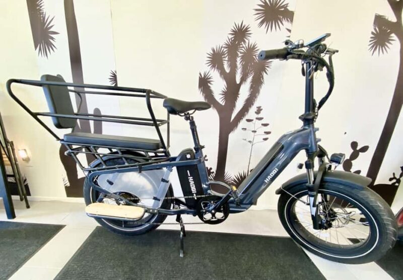 Joshua Tree National Park: E-Bike Rental - Who Will Love This Tour?