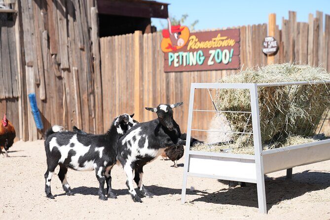 Joshua Tree National Park Private Adventure from Los Angeles - FAQs