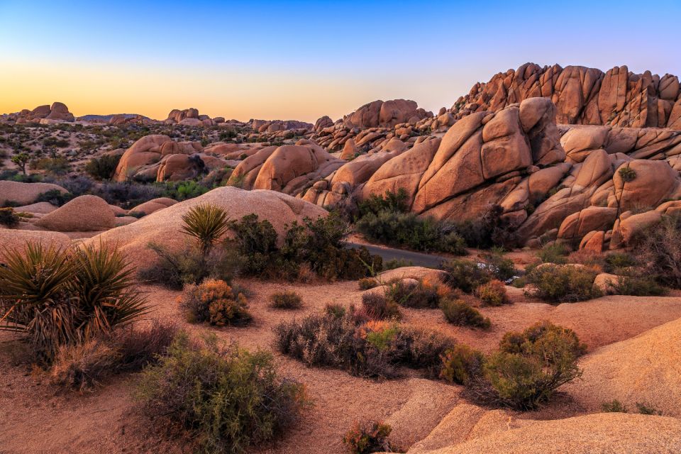 Joshua Tree National Park: Self-Driving Audio Tour - Utilizing the Action Tour Guide App