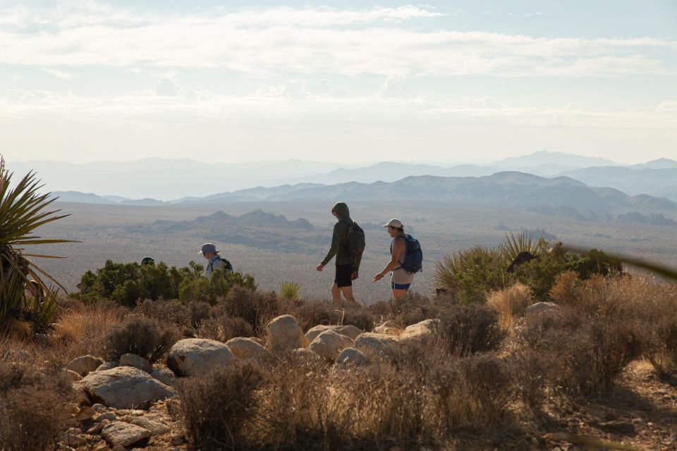 Joshua Tree National Park: Tour and Hike - Includes