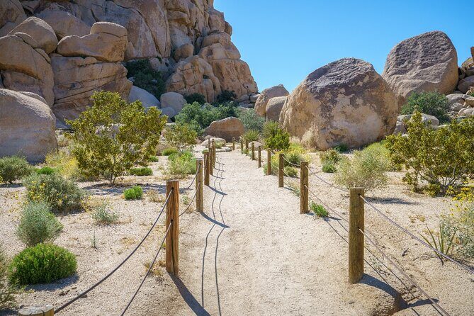 Joshua Tree National Park Trip Planner - FAQ
