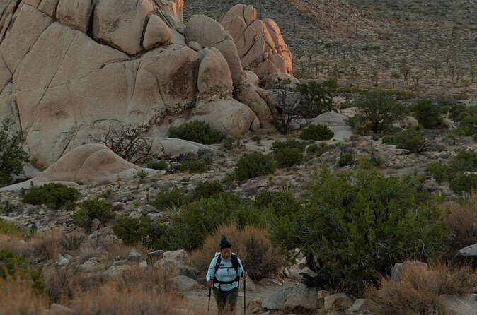 Joshua Tree Sunset & Stargazing Private Tour & Hike - Who Will Love This Tour?