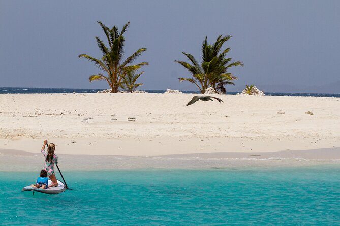 Jost Van Dyke - Sandy Spit & Soggy Dollar Sailing Tour in the BVI - Pricing and Value