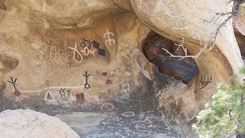 Journey Into Joshua Tree: Audio Driving Tour and Local Guide - Customer Feedback