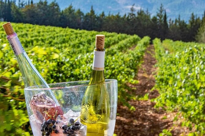 Journey Through Lebanese Wine: A Private Tour in the Beqaa Valley - Lunch and Tastings