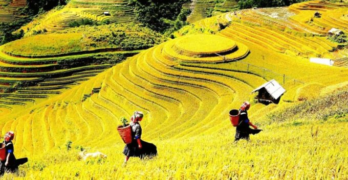 Journey Through Sapa Terraces & Traditions - Frequently Asked Questions