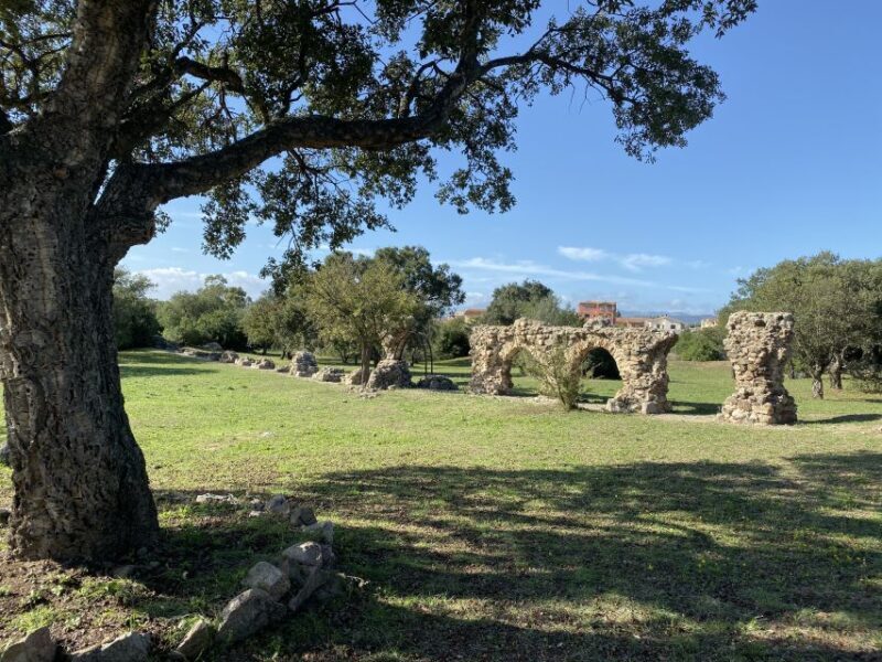Journey Through Time - Discover Sardinia's Ancient Treasures - An Honest, In-Depth Look at the Tour