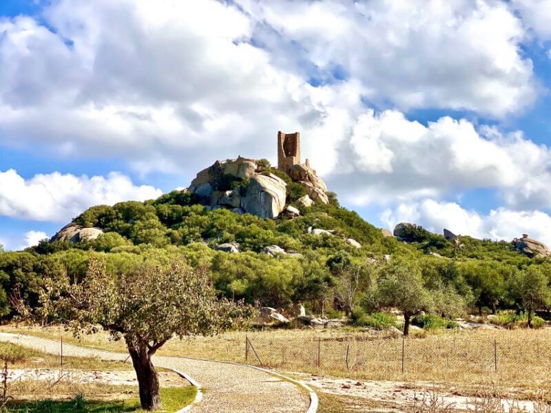 Journey Through Time - Discover Sardinia's Ancient Treasures - FAQ