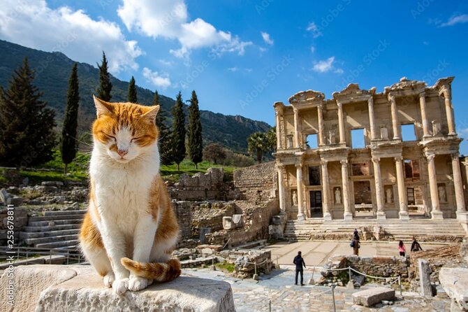 Journey to Ancient Wonders: Explore Ephesus With a Private Tour - Accessibility and Participation Details