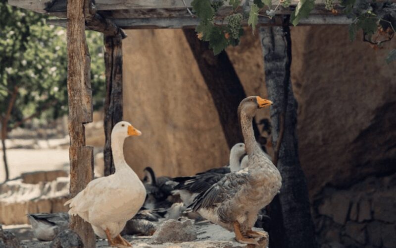 Journey to Cappadocia: Balloon Ride and Red Tour Package - What to Expect at Each Stop