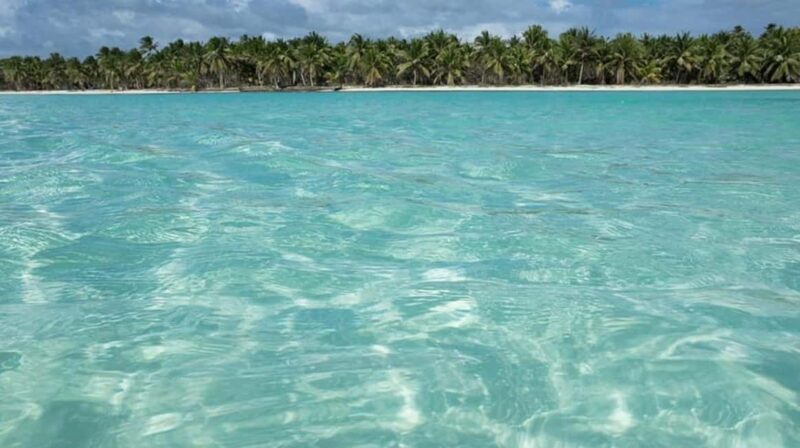 Juan Dolio: Saona Island Day Trip with Lunch & Open Bar - An Authentic Caribbean Escape: What to Expect from This Tour
