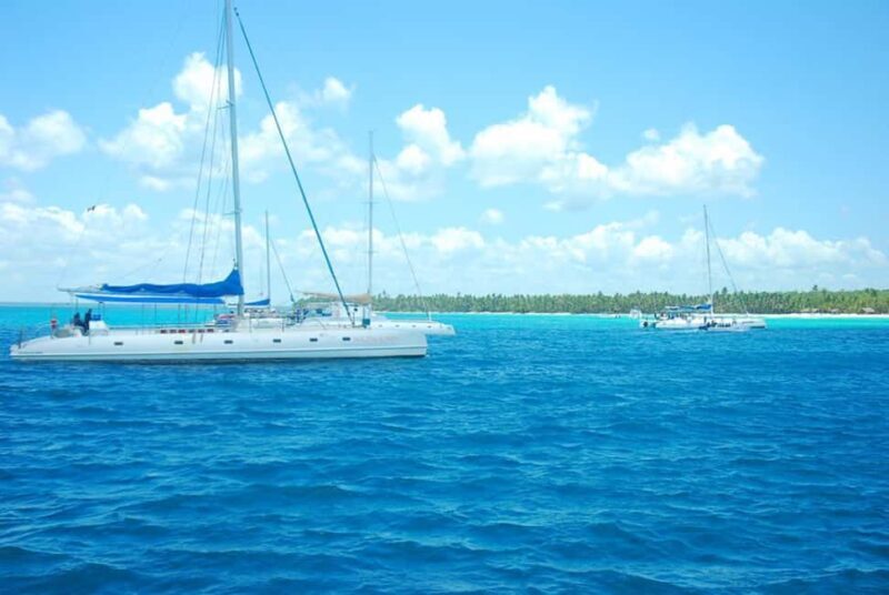 Juan Dolio: Saona Island Full-Day Tour with Lunch & Drinks - Who Should Consider This Tour?