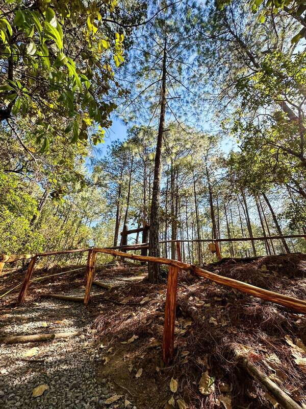 Juárez Highlands: Ecotourism and Workshop Experience - Key Points